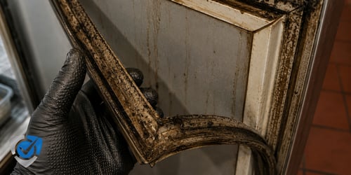 dirty-commercial-cooler-door-gasket